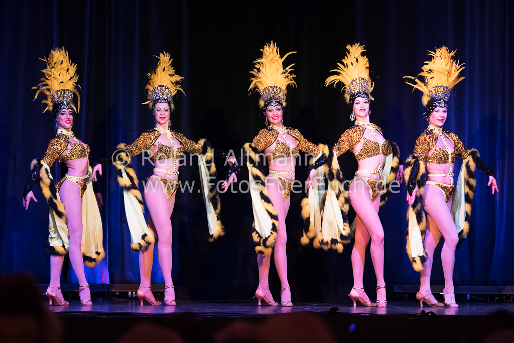 Preview 20151231_Roland_Altmann_7500602.jpg